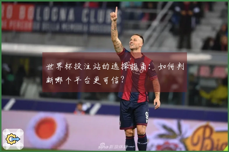 世界杯投注站的选择指南：如何判断哪个平台更可信？