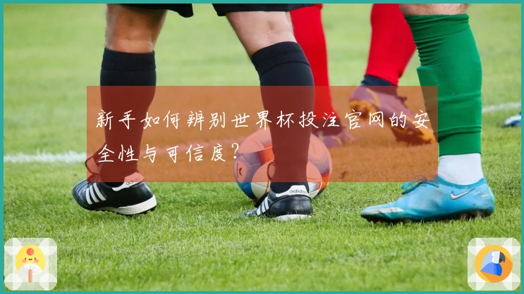 新手如何辨别世界杯投注官网的安全性与可信度？