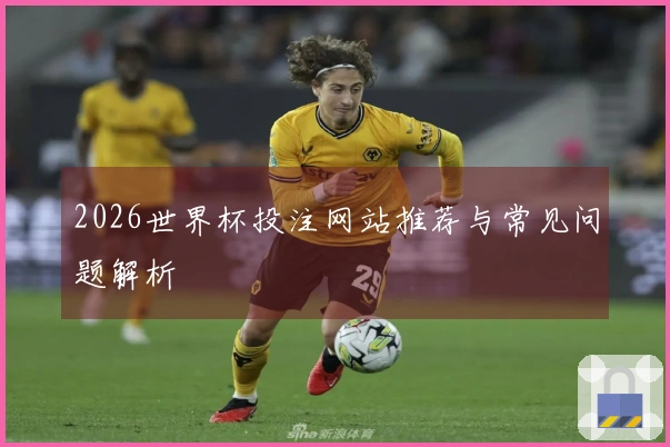 2026世界杯投注网站推荐与常见问题解析