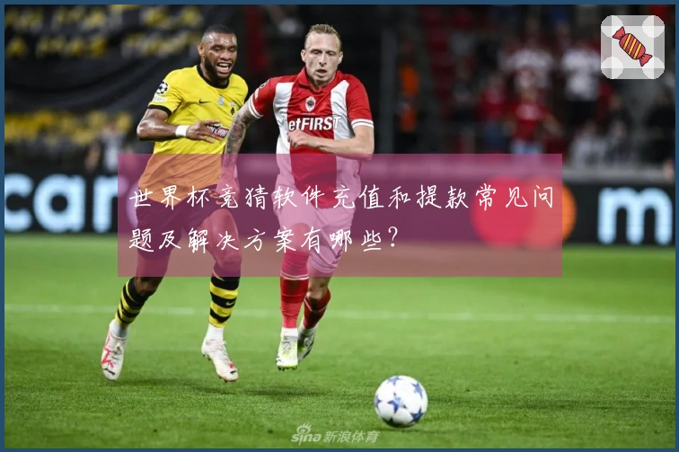 世界杯竞猜软件充值和提款常见问题及解决方案有哪些？