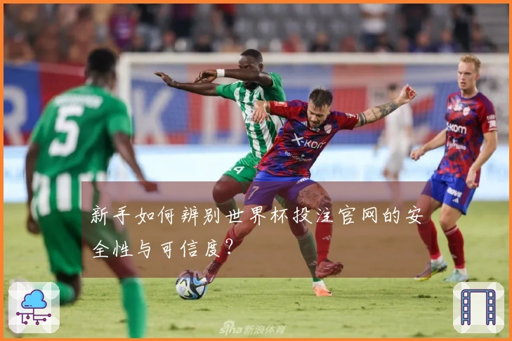 新手如何辨别世界杯投注官网的安全性与可信度？