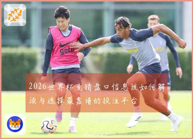 2026世界杯竞猜盘口信息该如何解读与选择最靠谱的投注平台