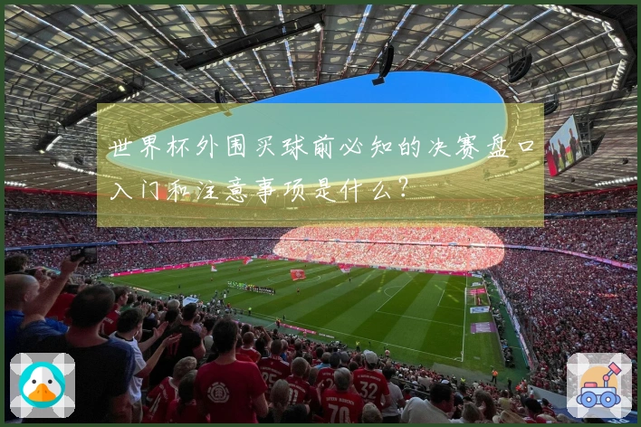 世界杯外围买球前必知的决赛盘口入门和注意事项是什么？