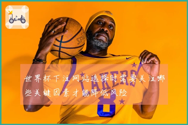 世界杯下注网站选择时需要关注哪些关键因素才能降低风险