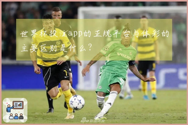 世界杯投注app的正规平台与体彩的主要区别是什么？