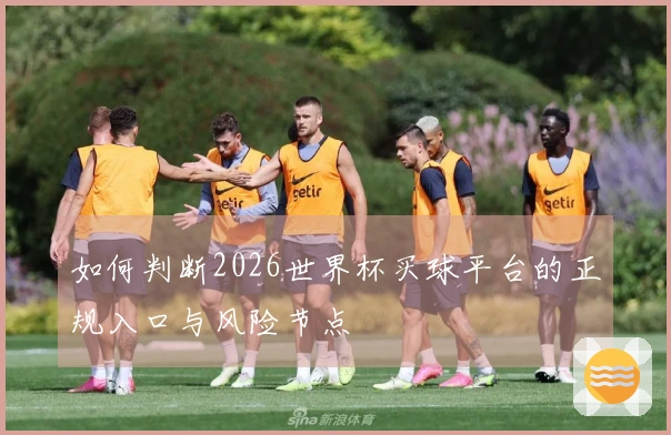 如何判断2026世界杯买球平台的正规入口与风险节点