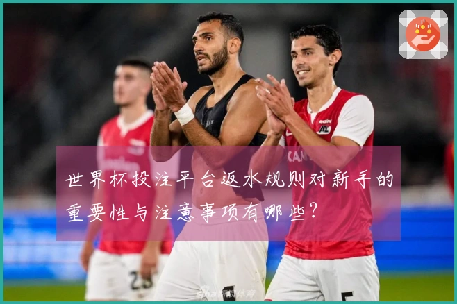 世界杯投注平台返水规则对新手的重要性与注意事项有哪些？