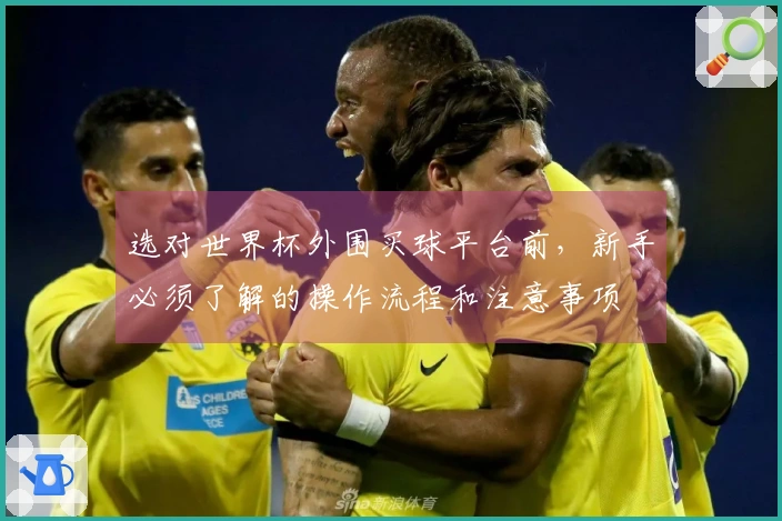 选对世界杯外围买球平台前，新手必须了解的操作流程和注意事项
