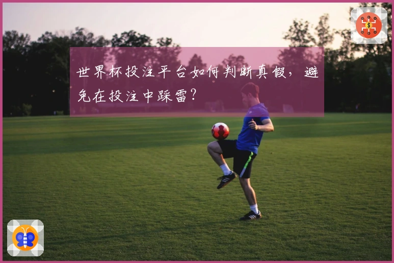 世界杯投注平台如何判断真假，避免在投注中踩雷？