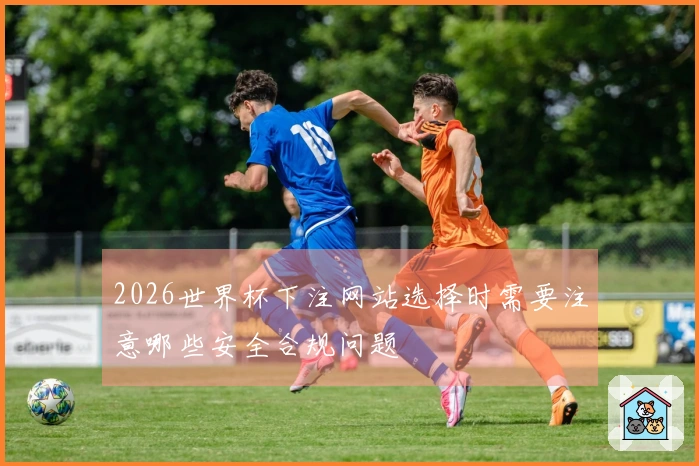 2026世界杯下注网站选择时需要注意哪些安全合规问题