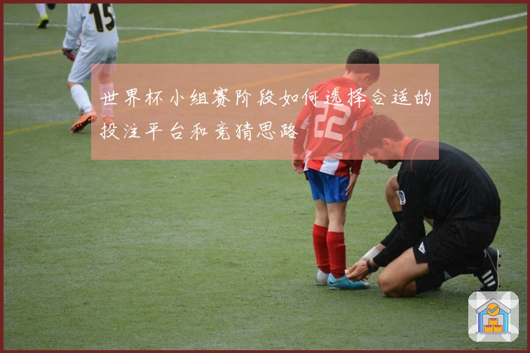 世界杯小组赛阶段如何选择合适的投注平台和竞猜思路