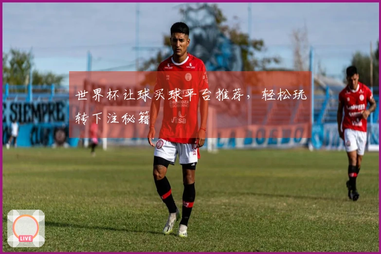 世界杯让球买球平台推荐，轻松玩转下注秘籍