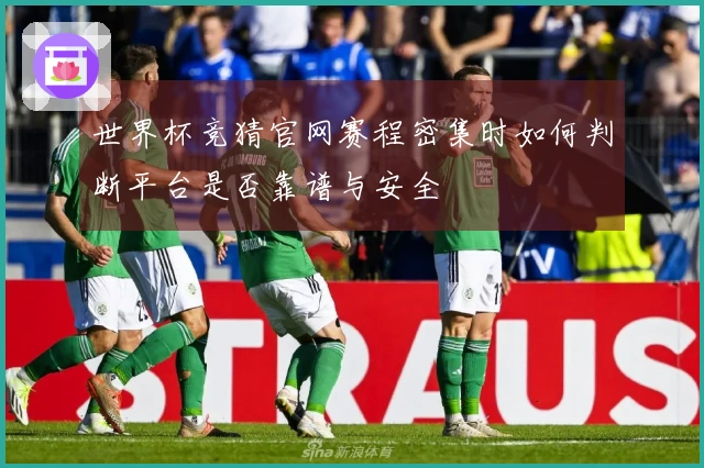 世界杯竞猜官网赛程密集时如何判断平台是否靠谱与安全