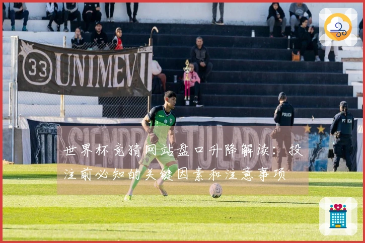 世界杯竞猜网站盘口升降解读：投注前必知的关键因素和注意事项
