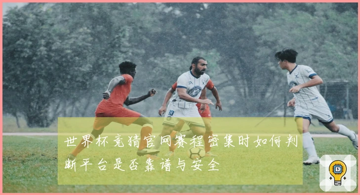 世界杯竞猜官网赛程密集时如何判断平台是否靠谱与安全