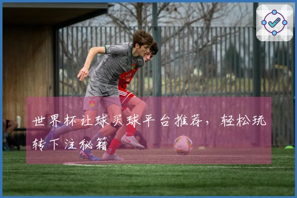 世界杯让球买球平台推荐，轻松玩转下注秘籍