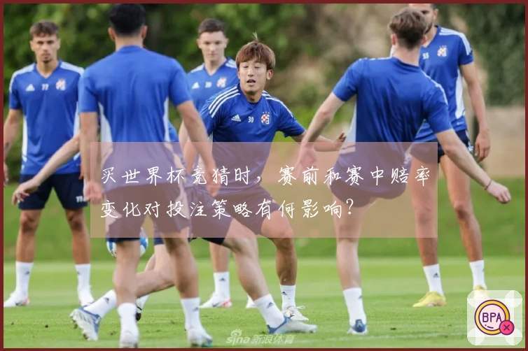 买世界杯竞猜时，赛前和赛中赔率变化对投注策略有何影响？