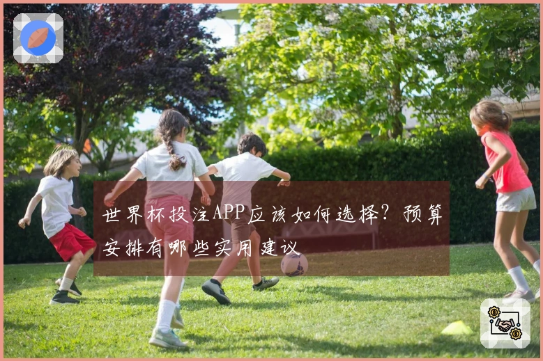 世界杯投注APP应该如何选择？预算安排有哪些实用建议