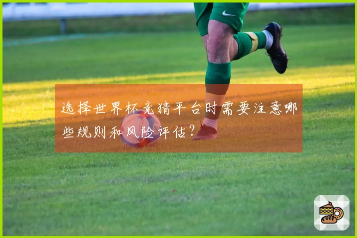 选择世界杯竞猜平台时需要注意哪些规则和风险评估？