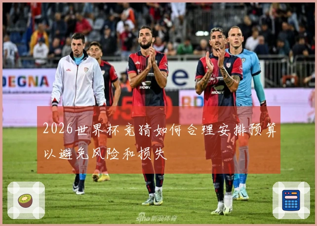 2026世界杯竞猜如何合理安排预算以避免风险和损失