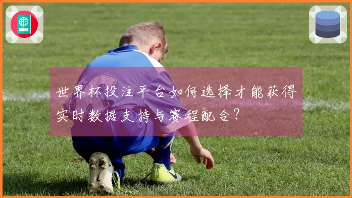 世界杯投注平台如何选择才能获得实时数据支持与赛程配合？