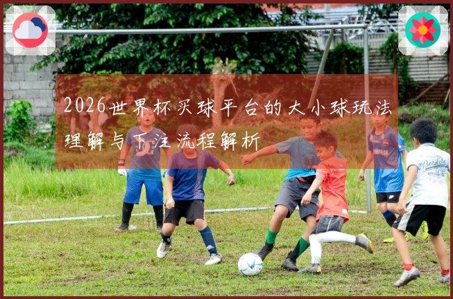 2026世界杯买球平台的大小球玩法理解与下注流程解析