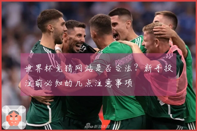 世界杯竞猜网站是否合法？新手投注前必知的几点注意事项