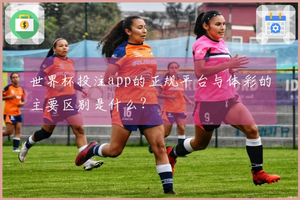 世界杯投注app的正规平台与体彩的主要区别是什么？