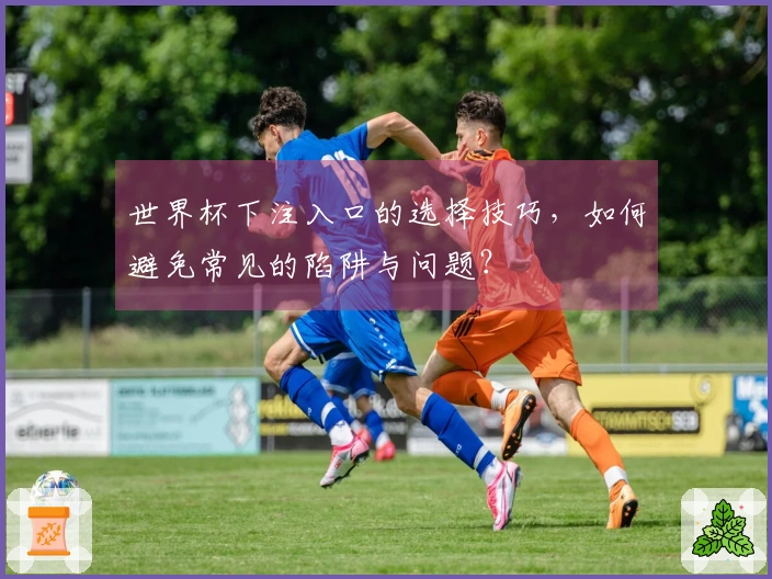 世界杯下注入口的选择技巧，如何避免常见的陷阱与问题？